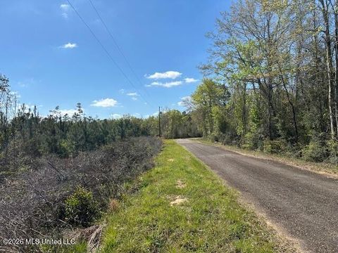 Vacant Land For Sale - Austin Smith Road<br/> Pike County, Ruth, MS 39662