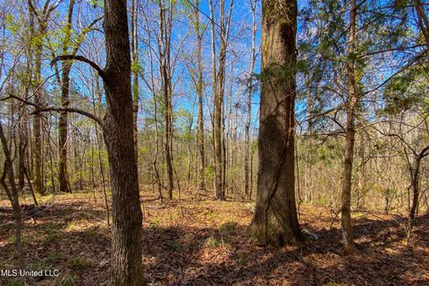 Vacant Land For Sale - 481 Ward Road<br/> Florence, MS 39073