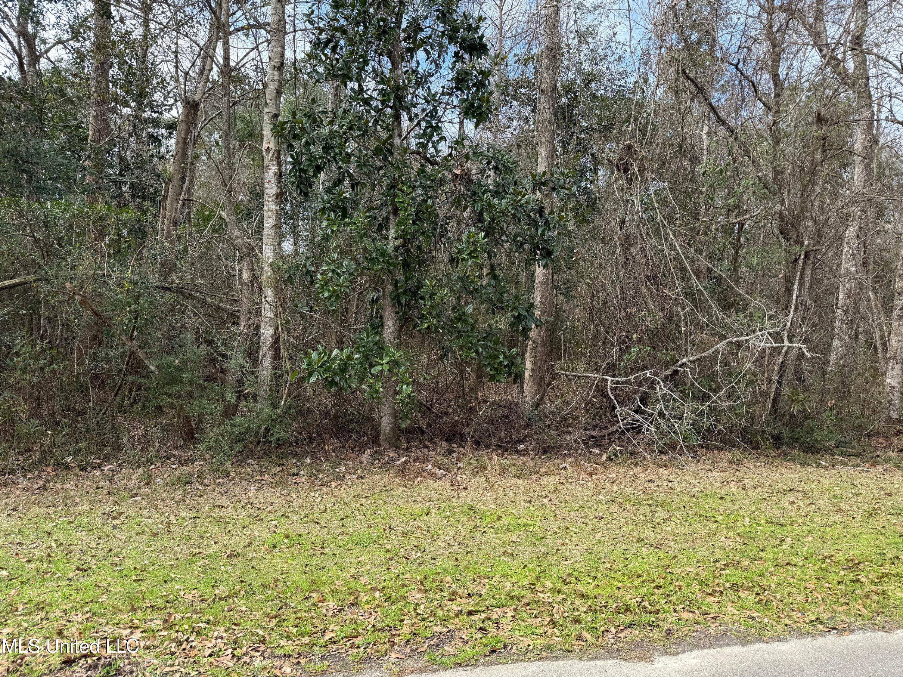 6327 Apelehama Road, Diamondhead, Mississippi image 3