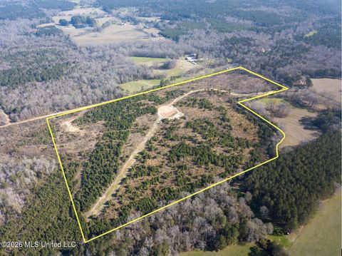 Vacant Land For Sale - Liberty Church Road<br/> Newton, MS 39345