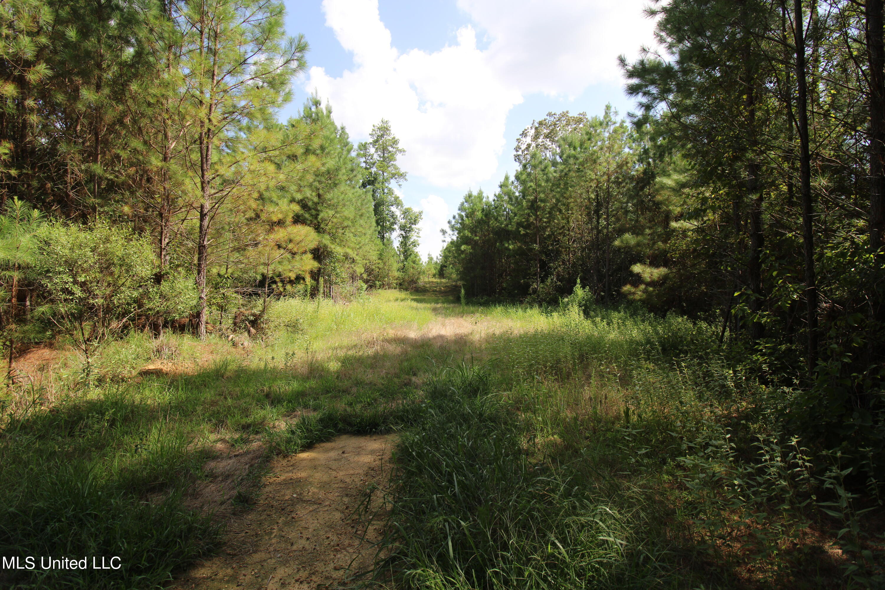 1832 Fort Hill Road, Grenada, Mississippi image 7