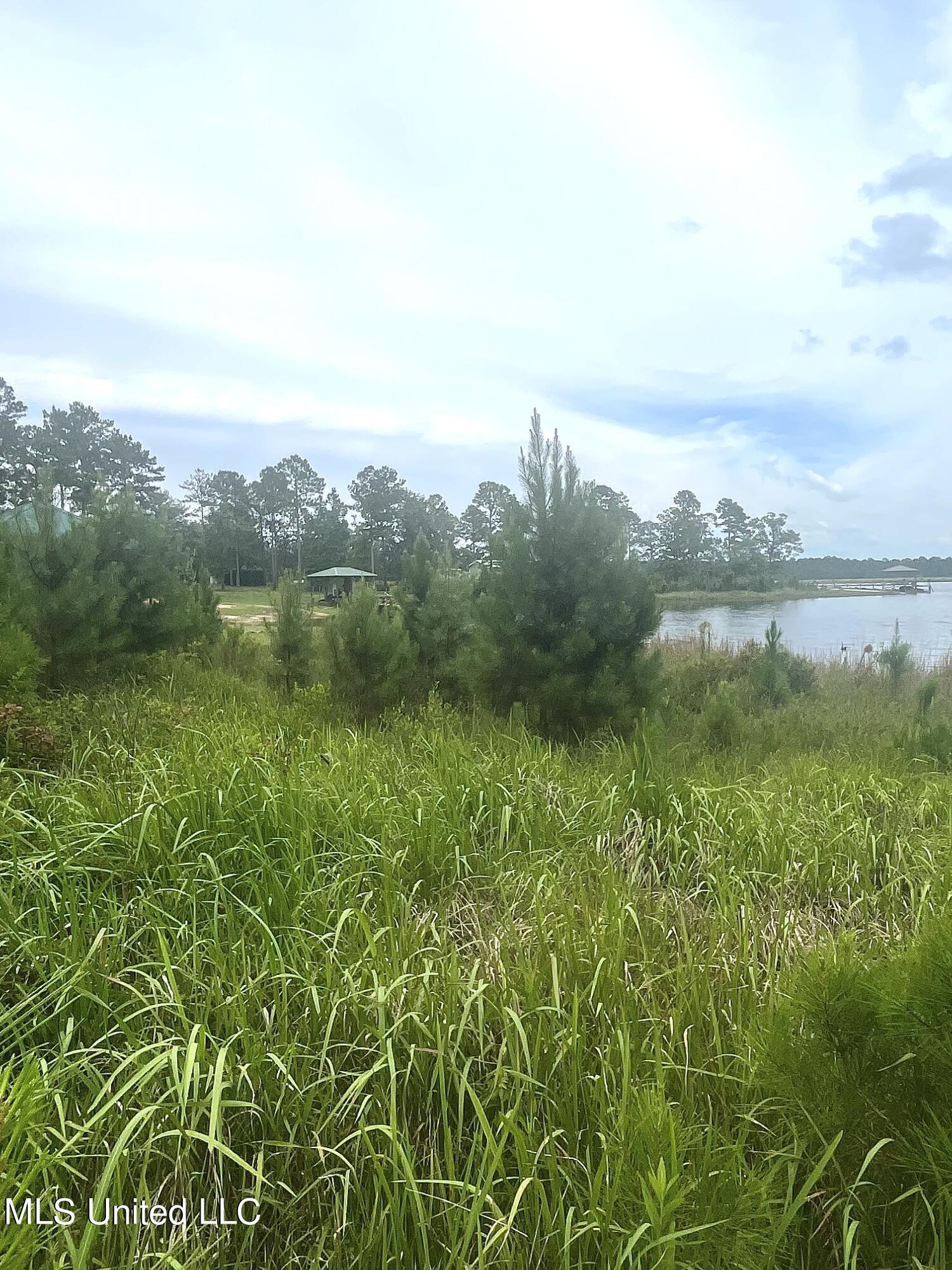 1.6 +/- Ac Burnt Pine Road, Leakesville, Mississippi image 4