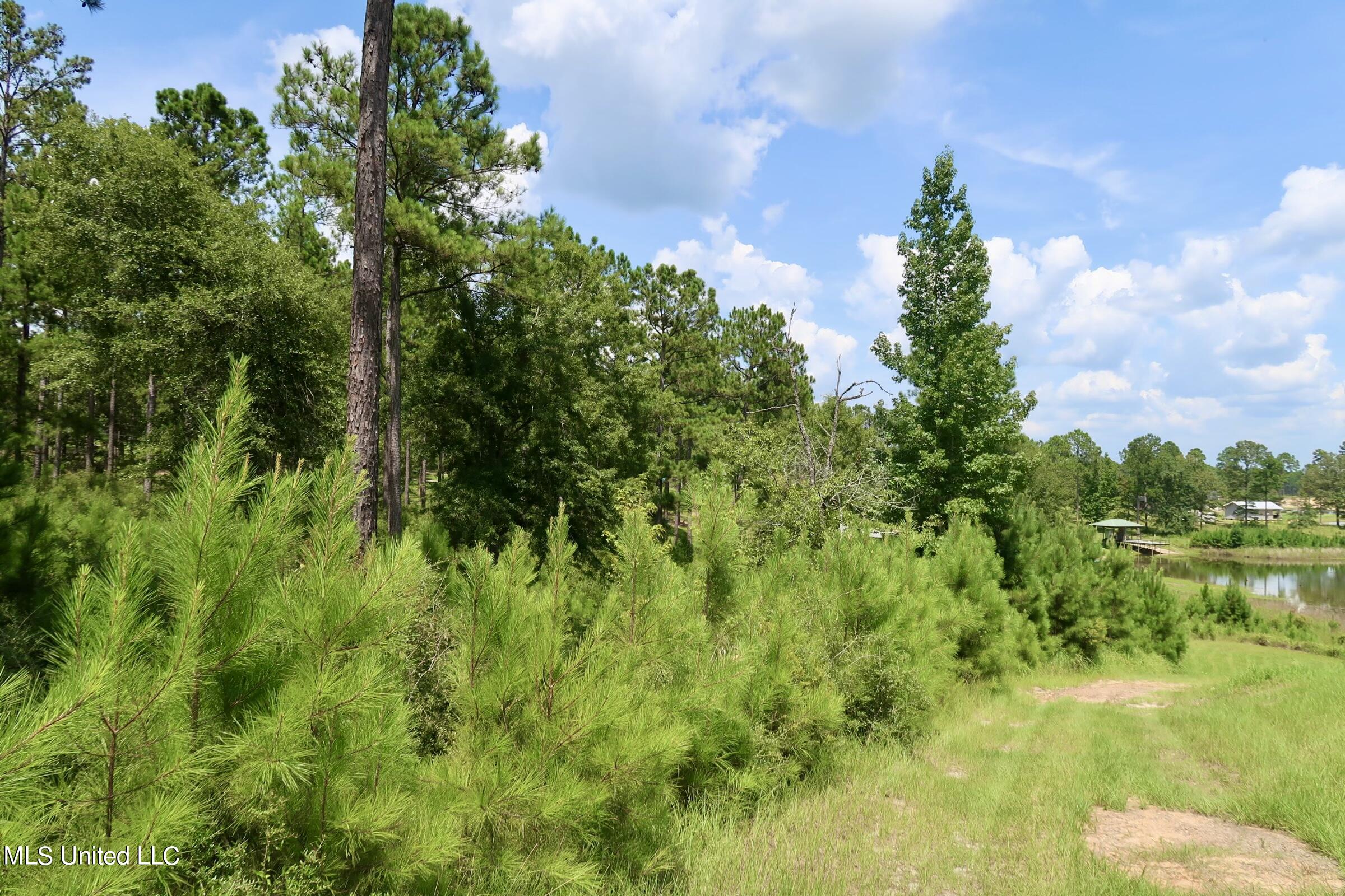 1.6 +/- Ac Burnt Pine Road, Leakesville, Mississippi image 1