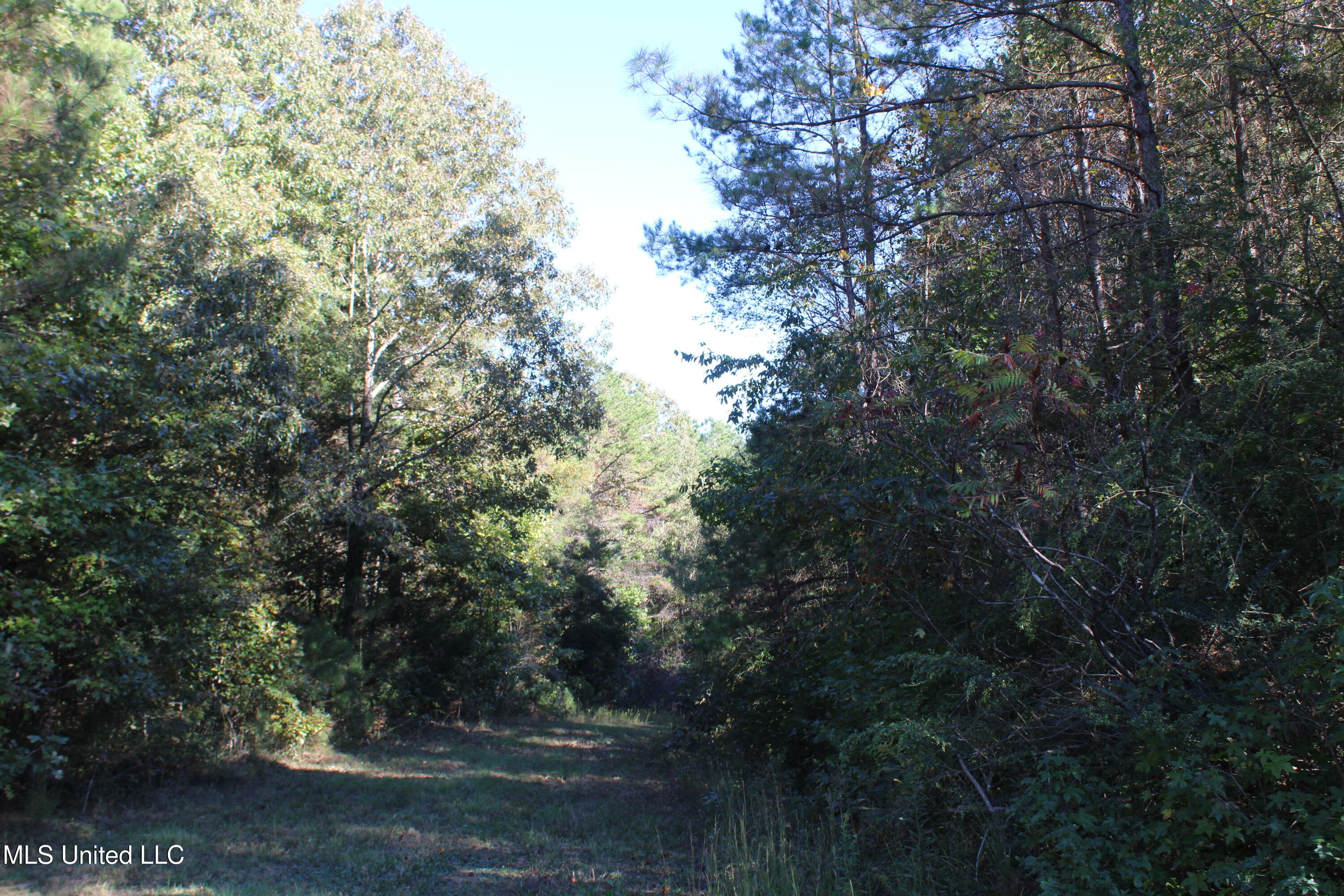 1507 Lower Gurley Road, Potts Camp, Mississippi image 31