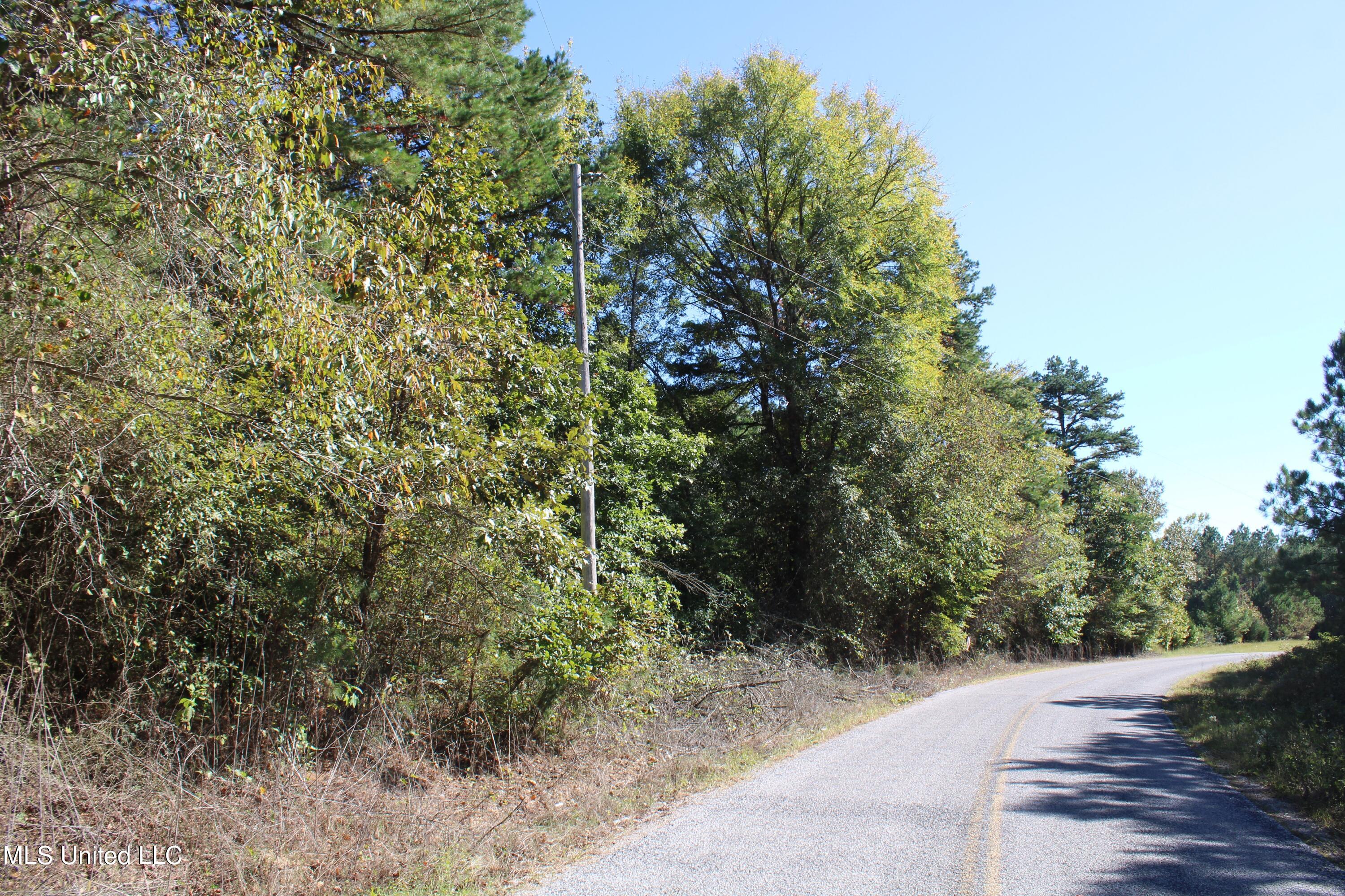 1507 Lower Gurley Road, Potts Camp, Mississippi image 36