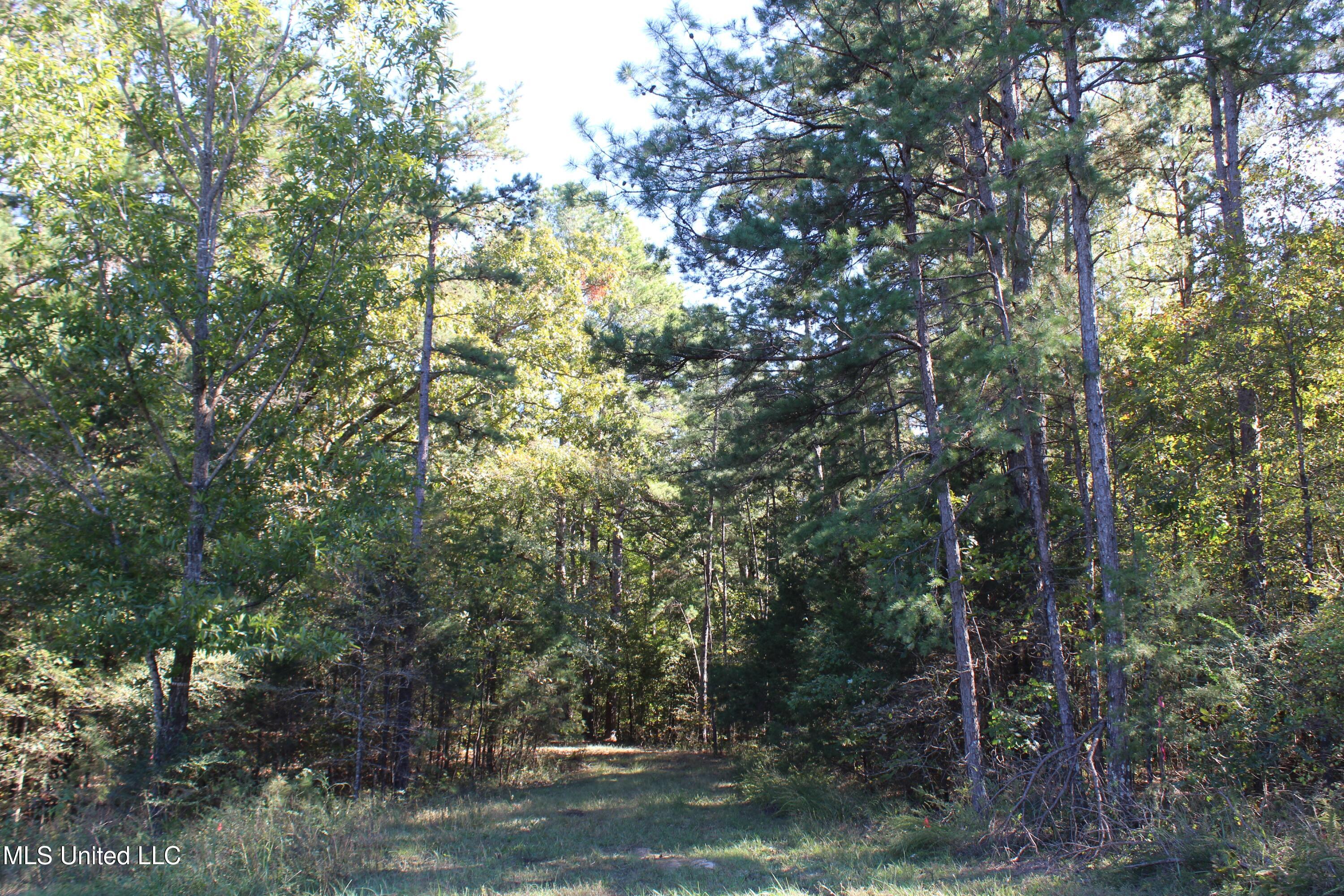 1507 Lower Gurley Road, Potts Camp, Mississippi image 39