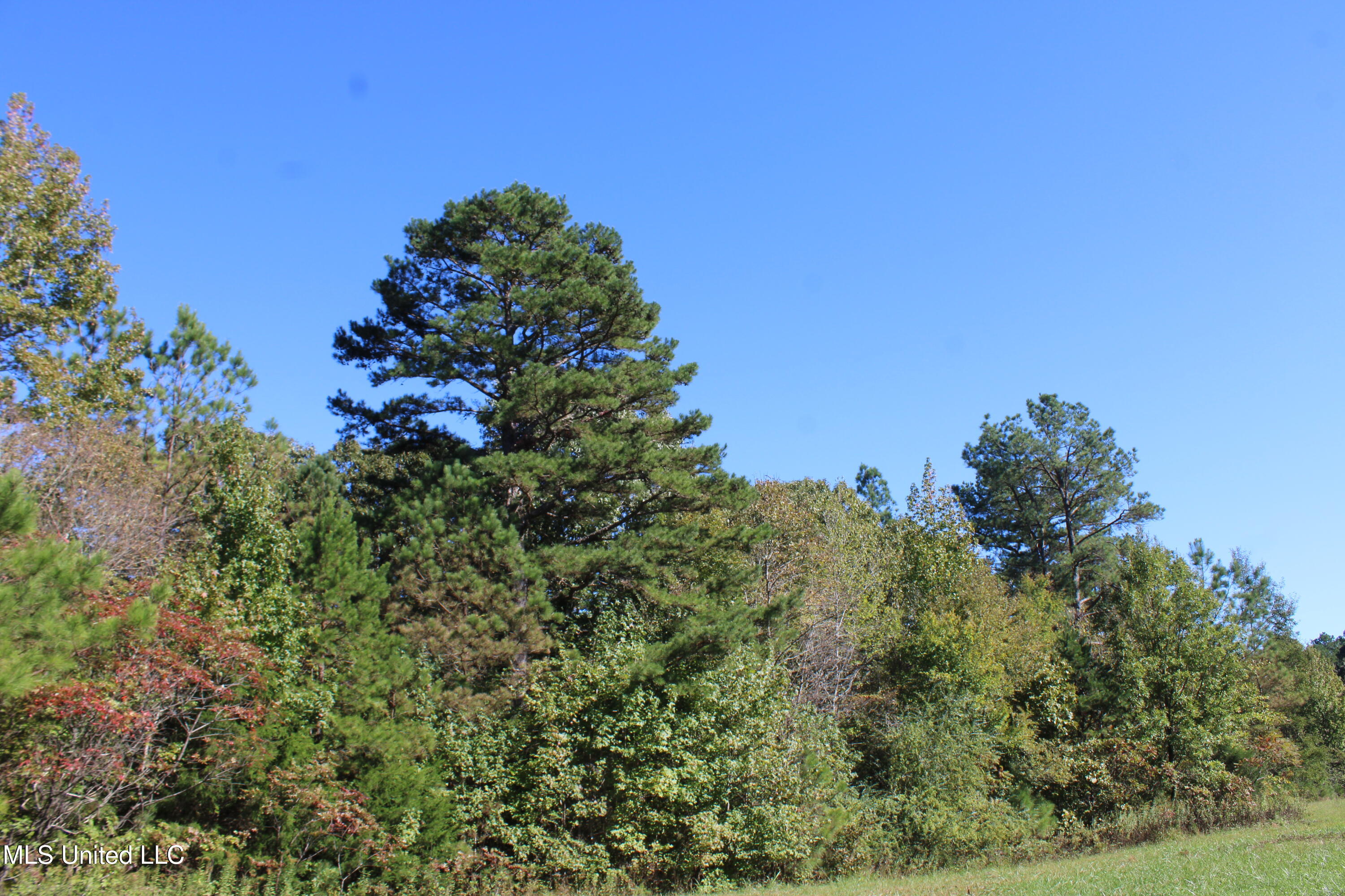 1507 Lower Gurley Road, Potts Camp, Mississippi image 10