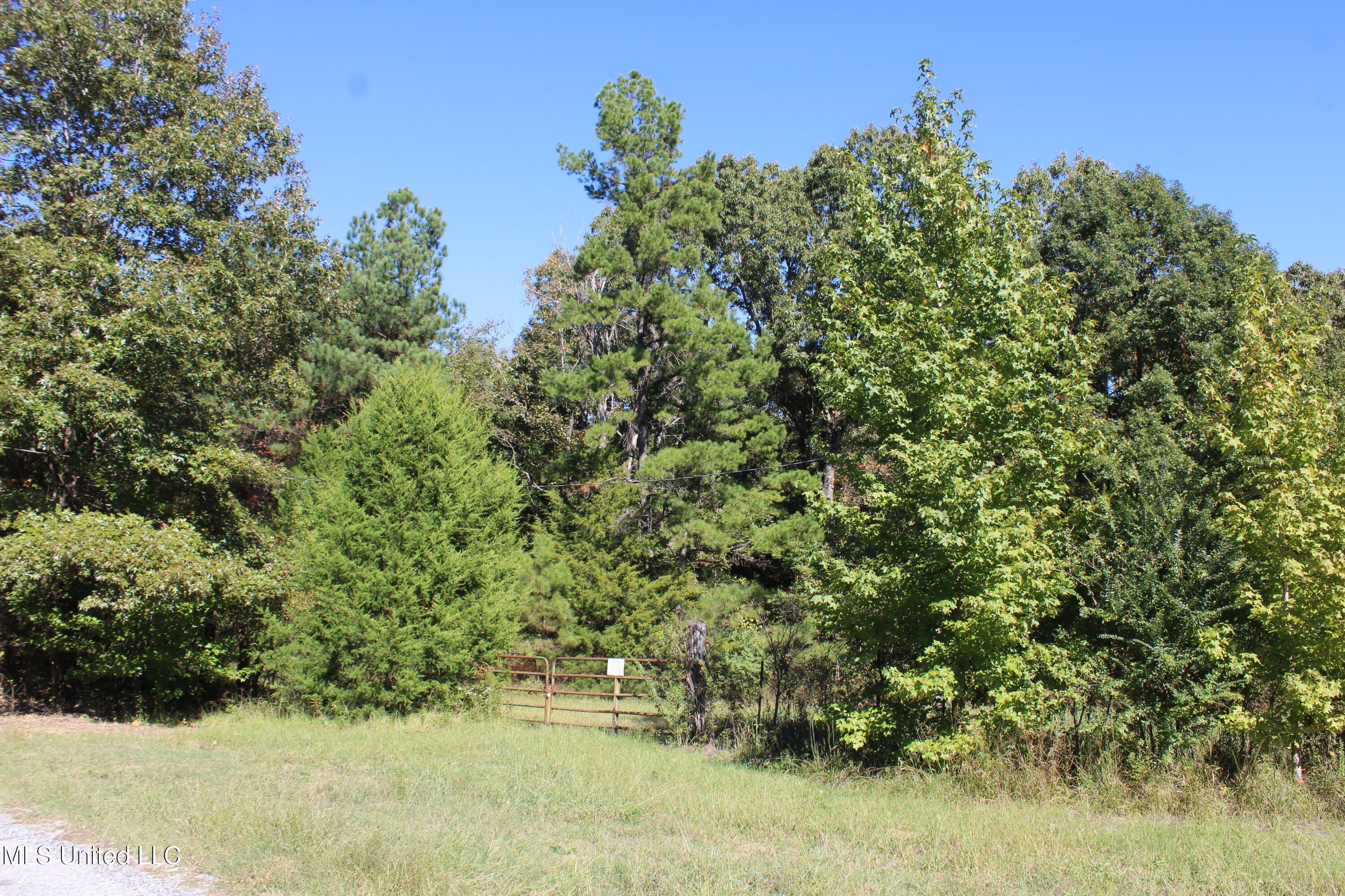 1507 Lower Gurley Road, Potts Camp, Mississippi image 37