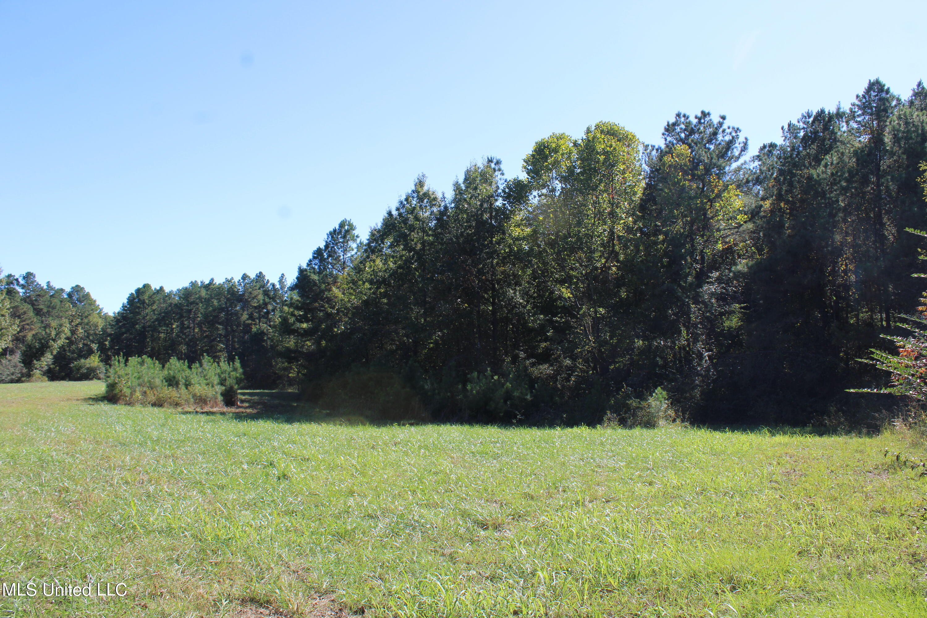 1507 Lower Gurley Road, Potts Camp, Mississippi image 9