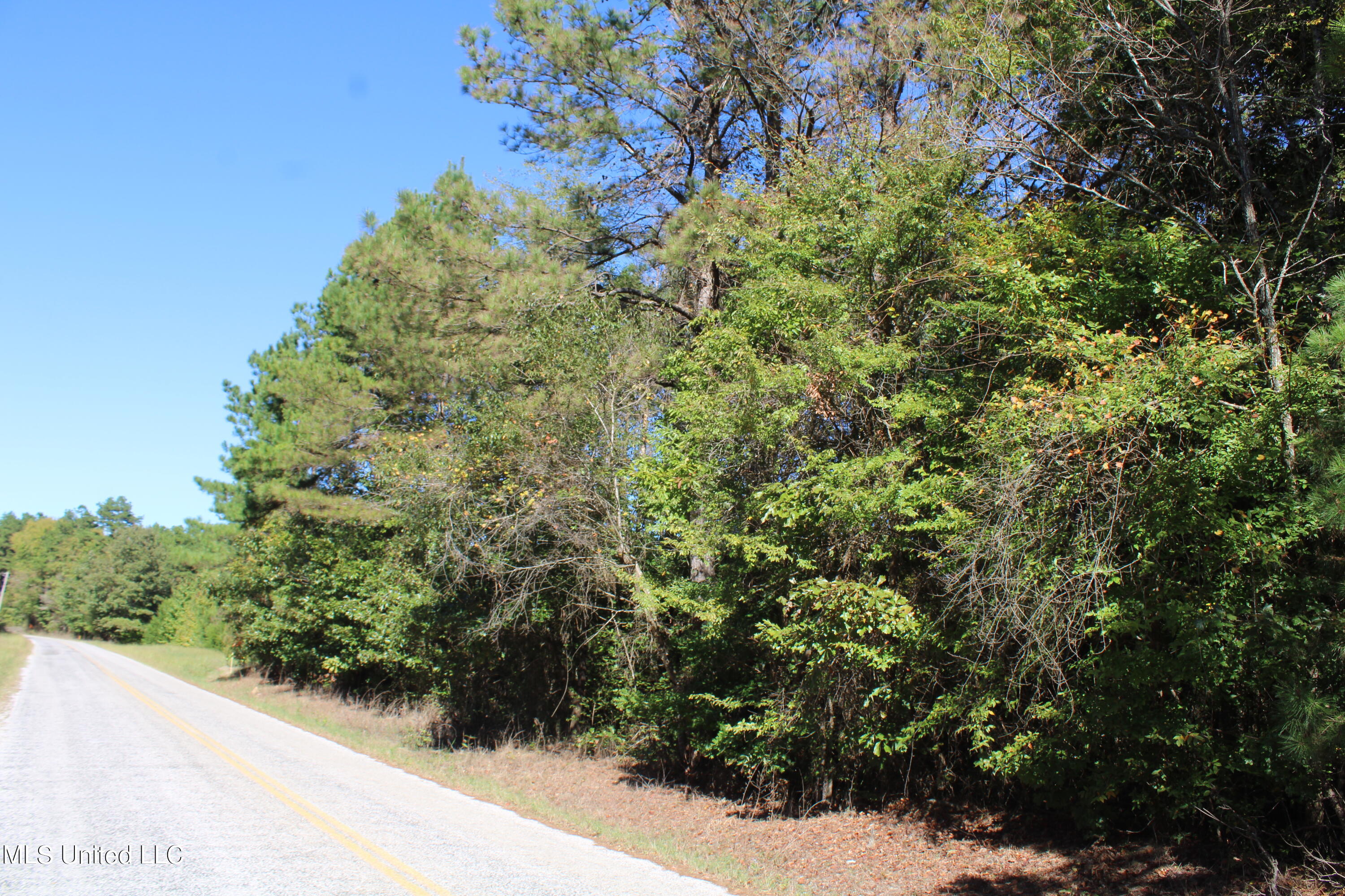 1507 Lower Gurley Road, Potts Camp, Mississippi image 7