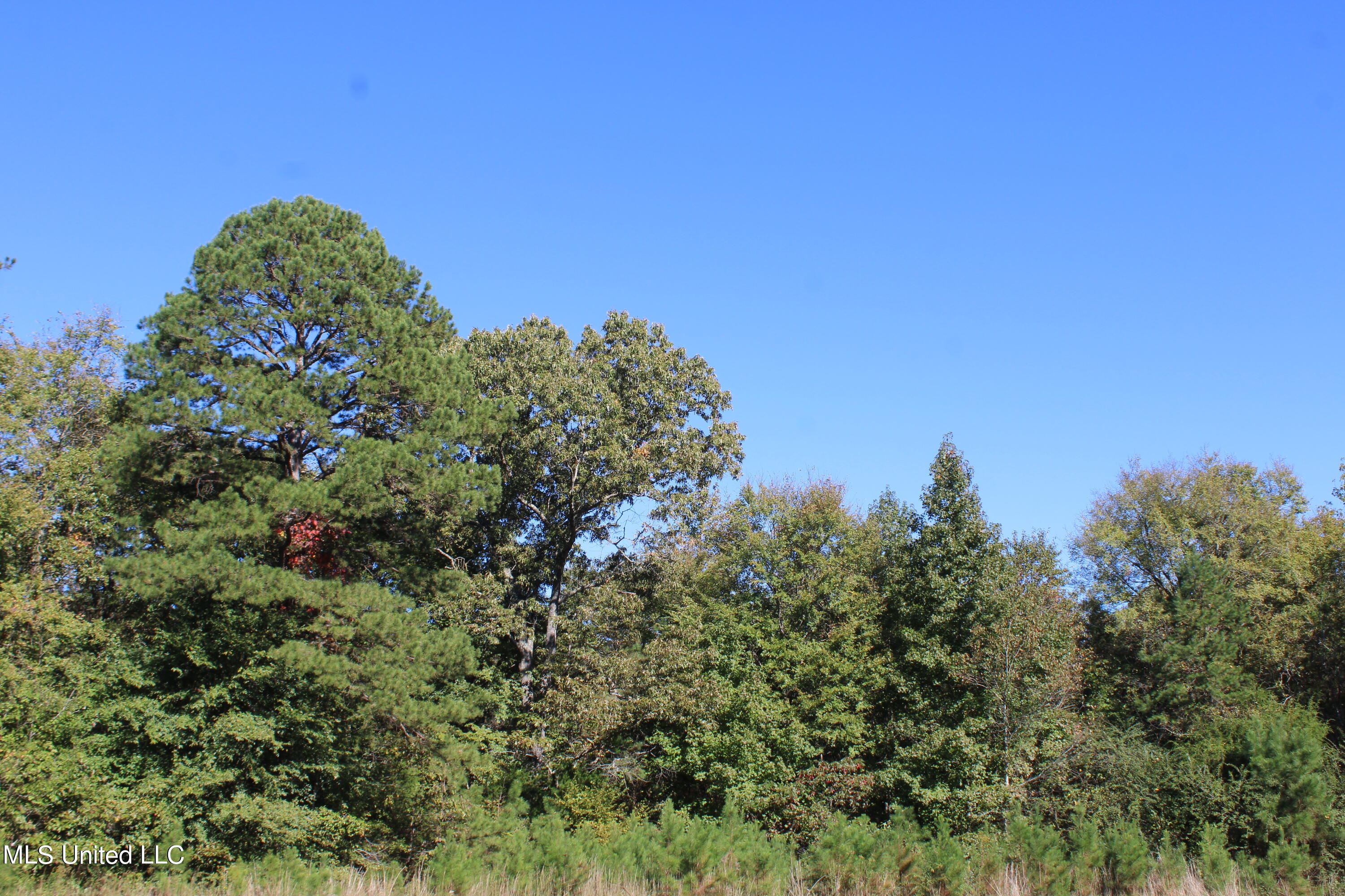 1507 Lower Gurley Road, Potts Camp, Mississippi image 17