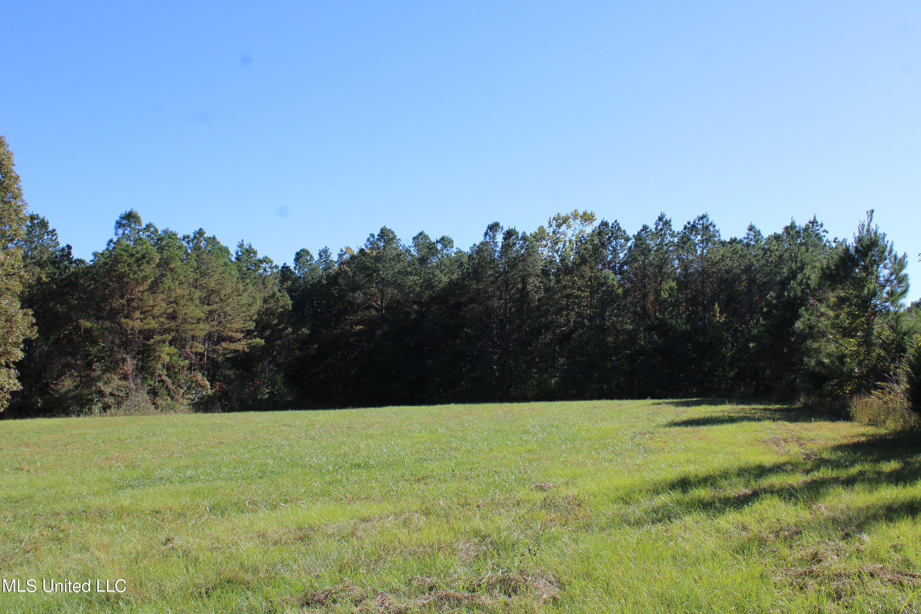 1507 Lower Gurley Road, Potts Camp, Mississippi image 1