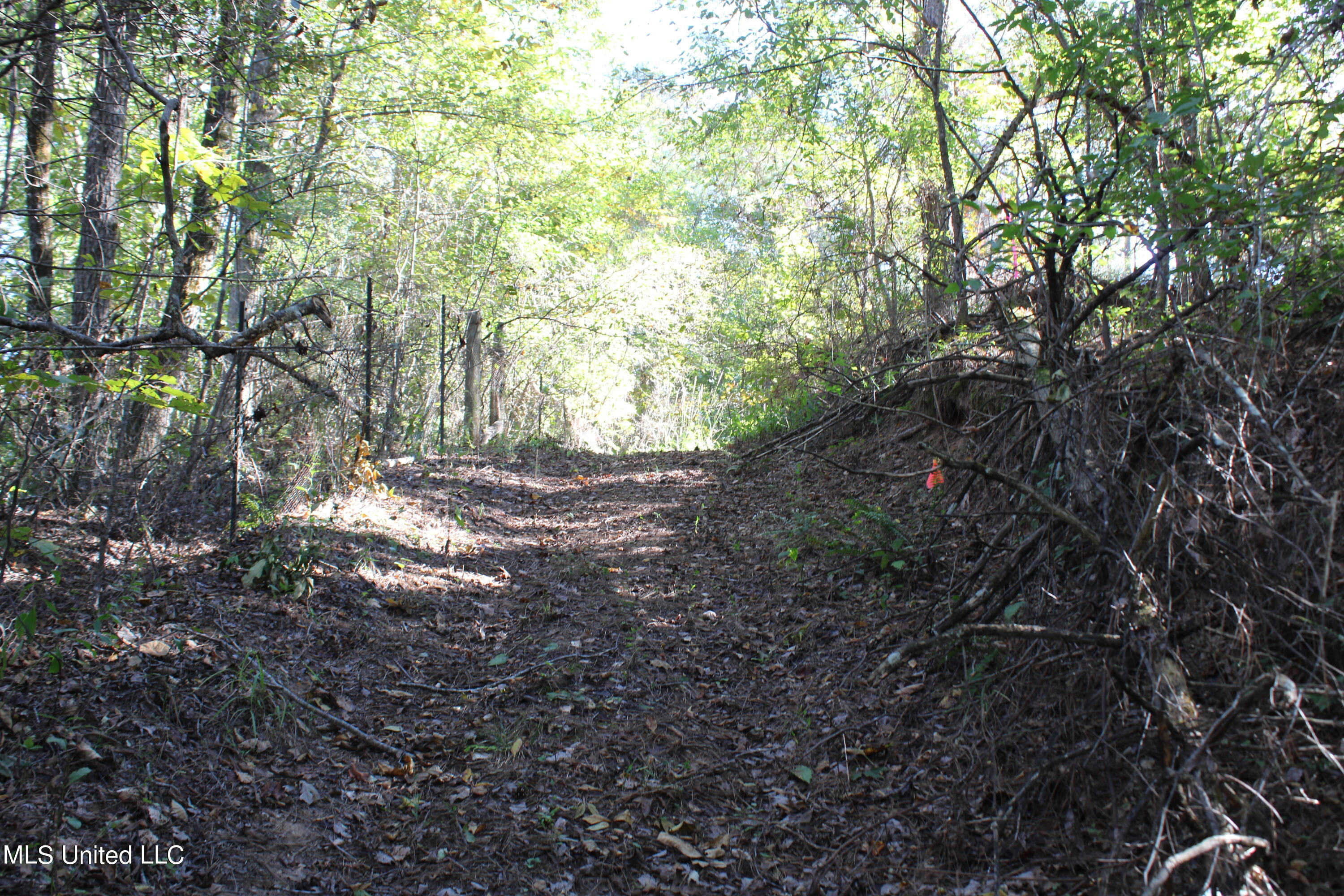 1507 Lower Gurley Road, Potts Camp, Mississippi image 28