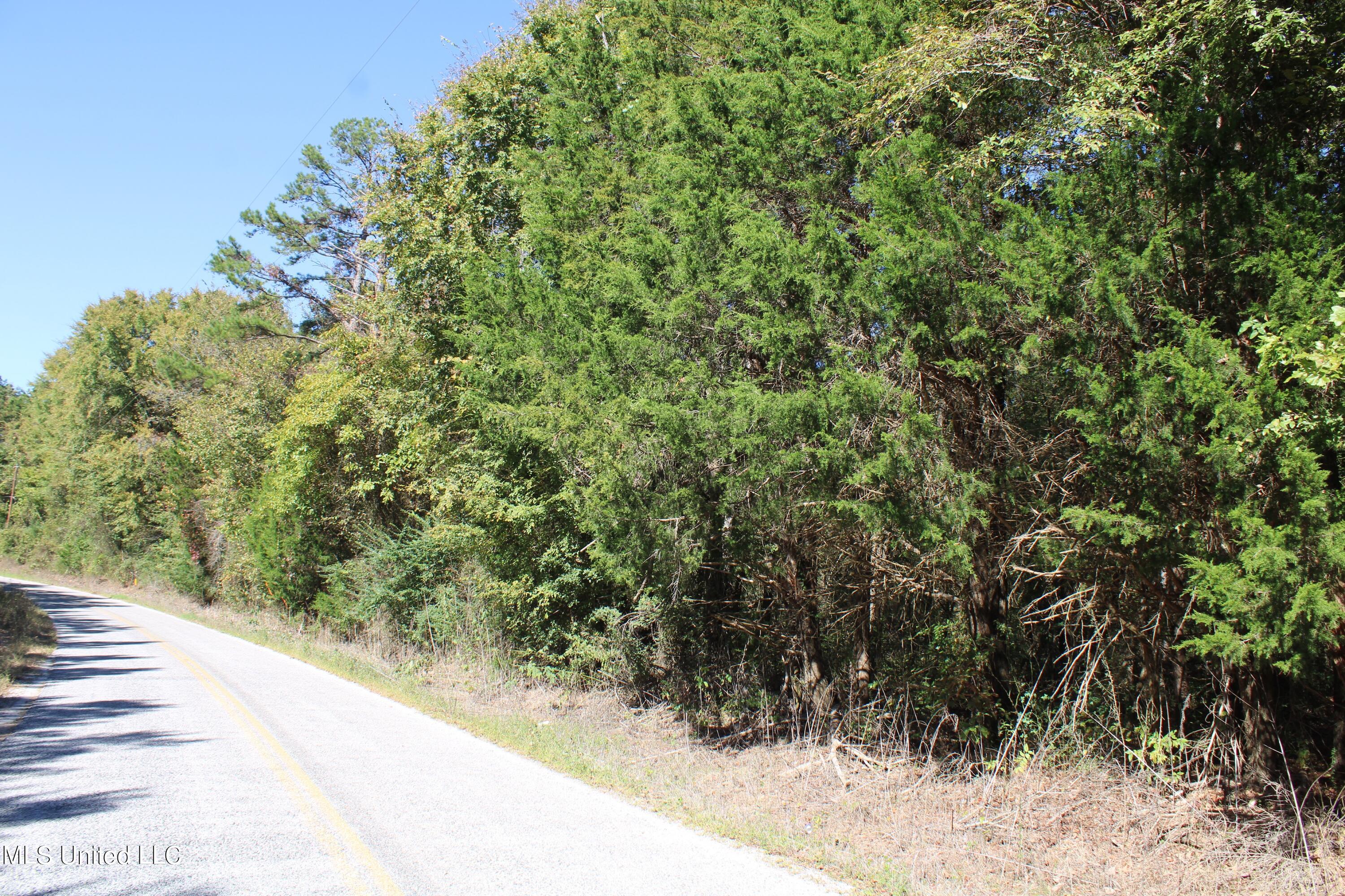 1507 Lower Gurley Road, Potts Camp, Mississippi image 35