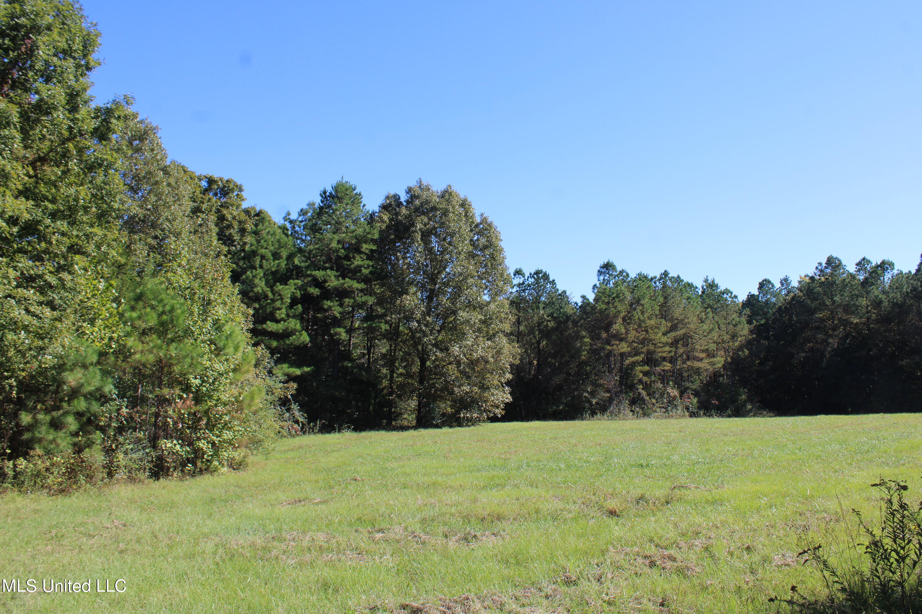 1507 Lower Gurley Road, Potts Camp, Mississippi image 4