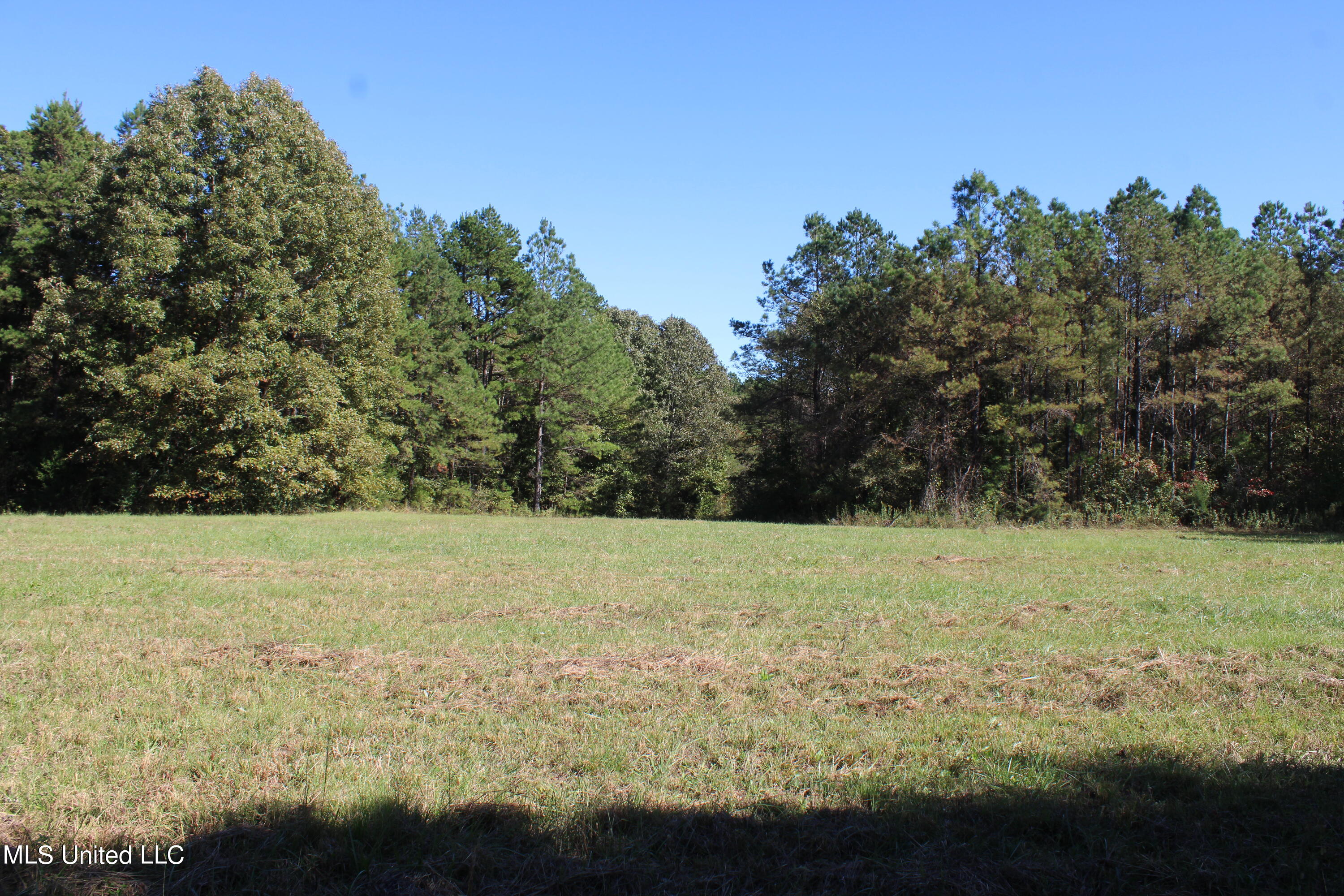 1507 Lower Gurley Road, Potts Camp, Mississippi image 5