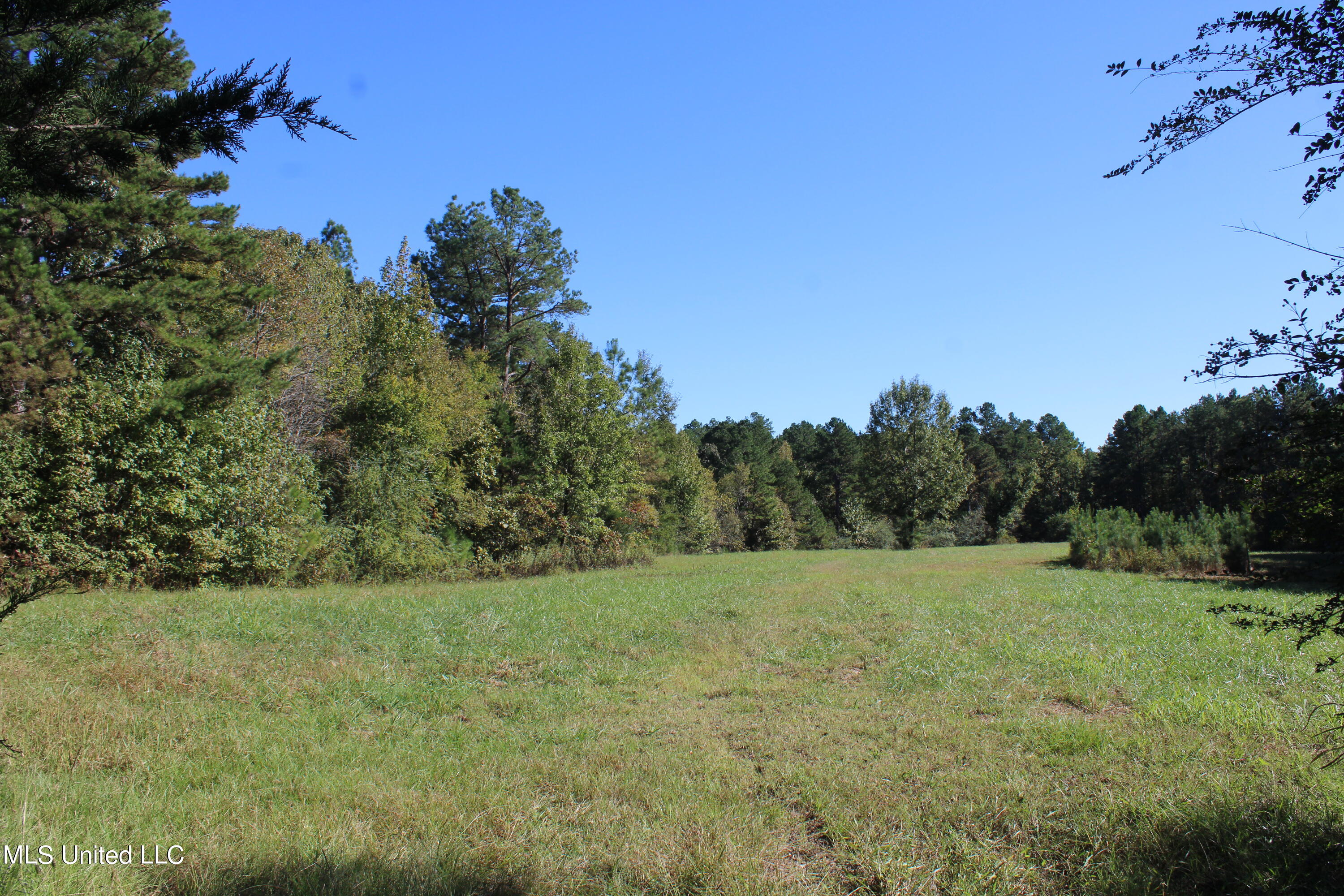 1507 Lower Gurley Road, Potts Camp, Mississippi image 8