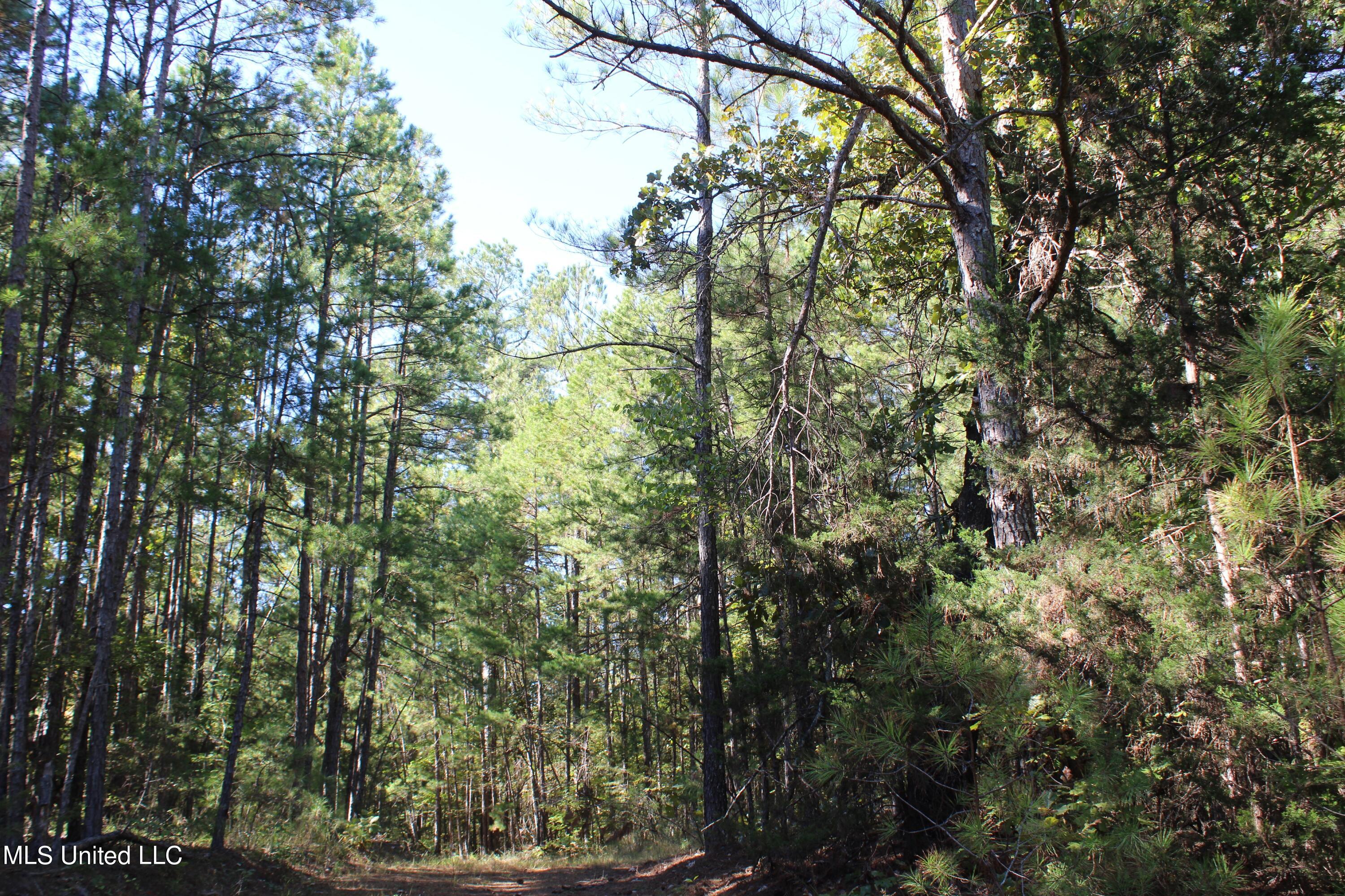 1507 Lower Gurley Road, Potts Camp, Mississippi image 43