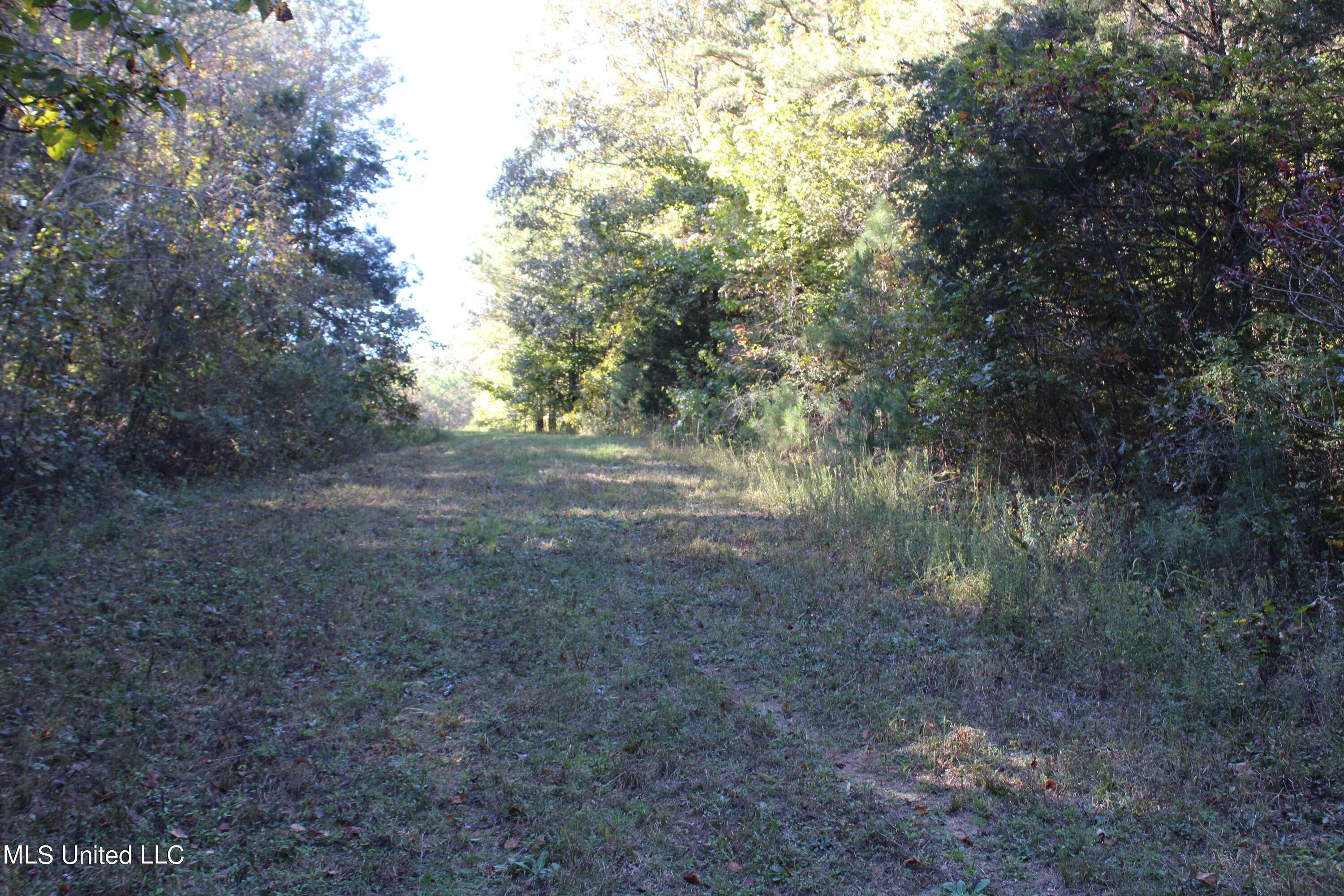 1507 Lower Gurley Road, Potts Camp, Mississippi image 32