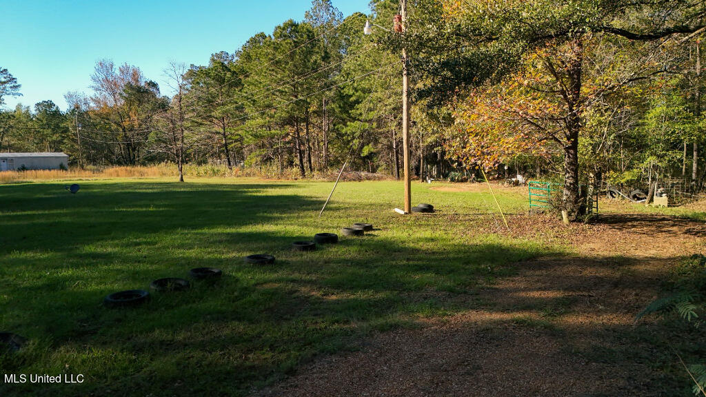 Francis Road, Canton, Mississippi image 3