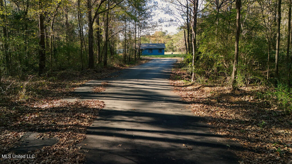 Francis Road, Canton, Mississippi image 18