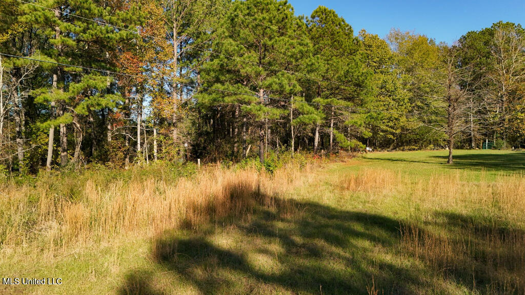 Francis Road, Canton, Mississippi image 10