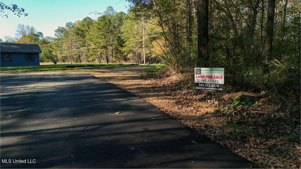 Francis Road, Canton, Mississippi image 9