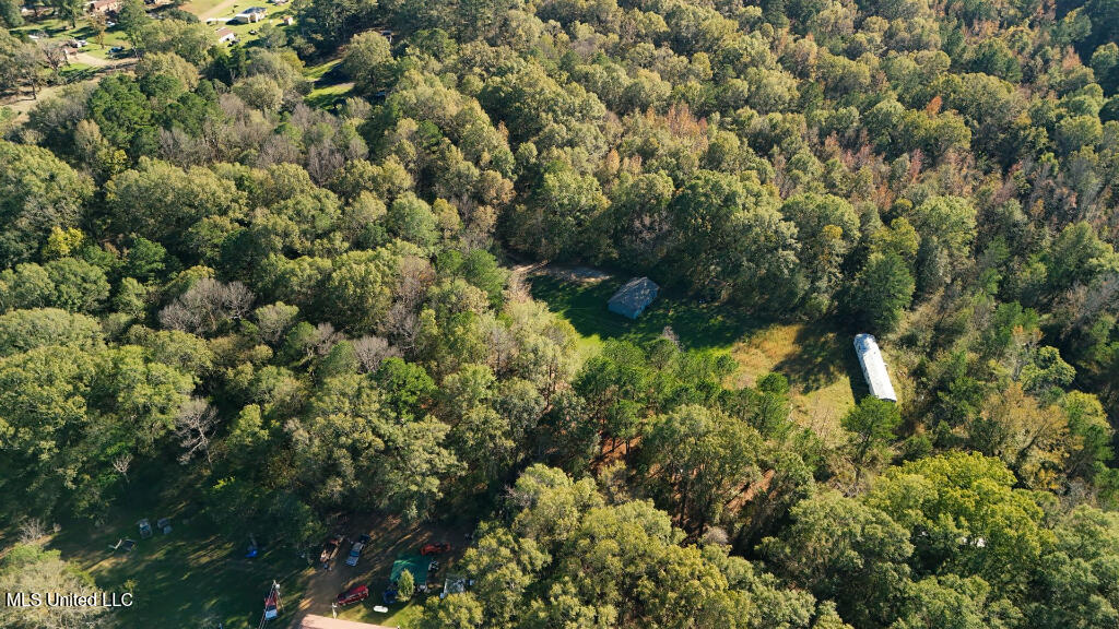 Francis Road, Canton, Mississippi image 7