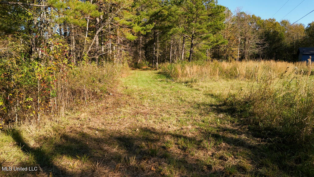 Francis Road, Canton, Mississippi image 11