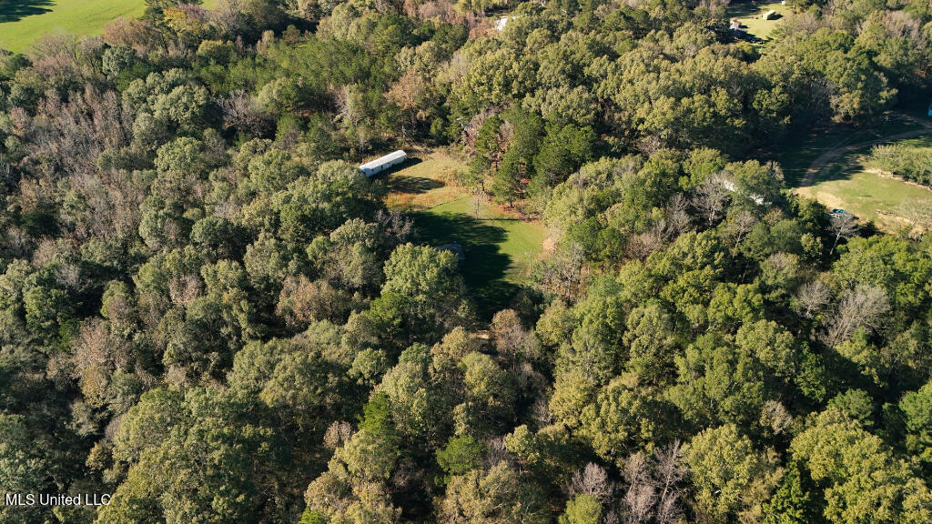 Francis Road, Canton, Mississippi image 20