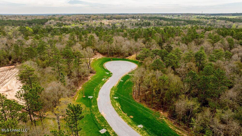 5.95ac Pine Ridge Lane, Lucedale, Mississippi image 4