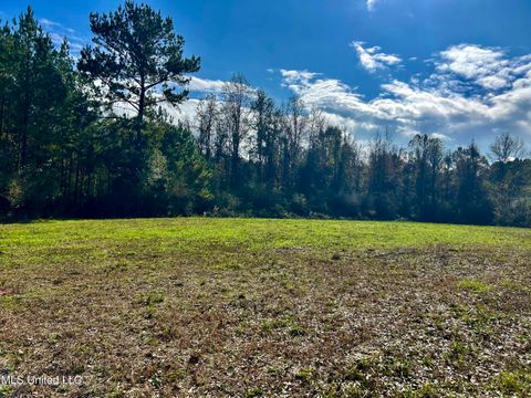 Vacant Land For Sale - Watts Ln Northwest<br/> Lincoln County, Brookhaven, MS 39601