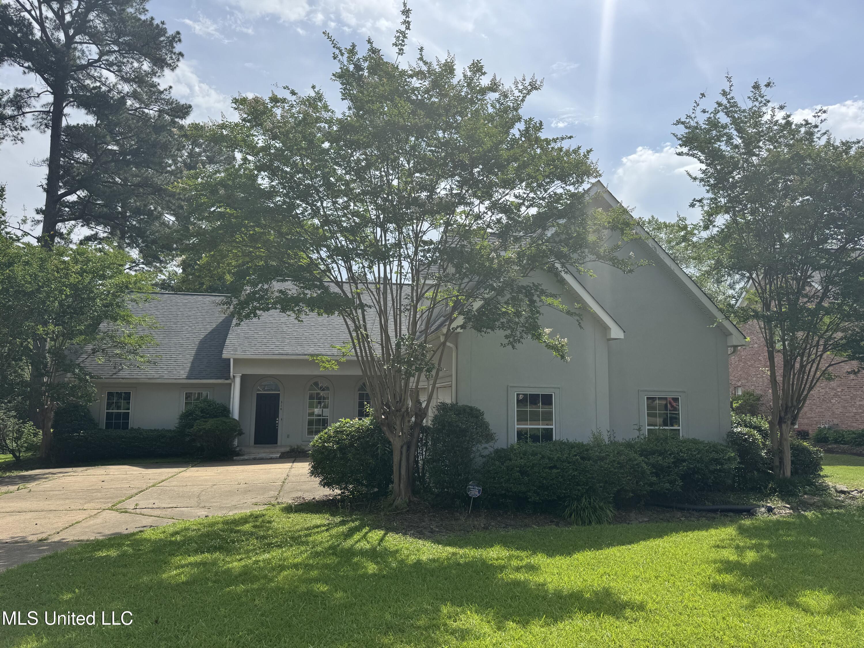 314 Fox Hollow, Canton, Mississippi image 1