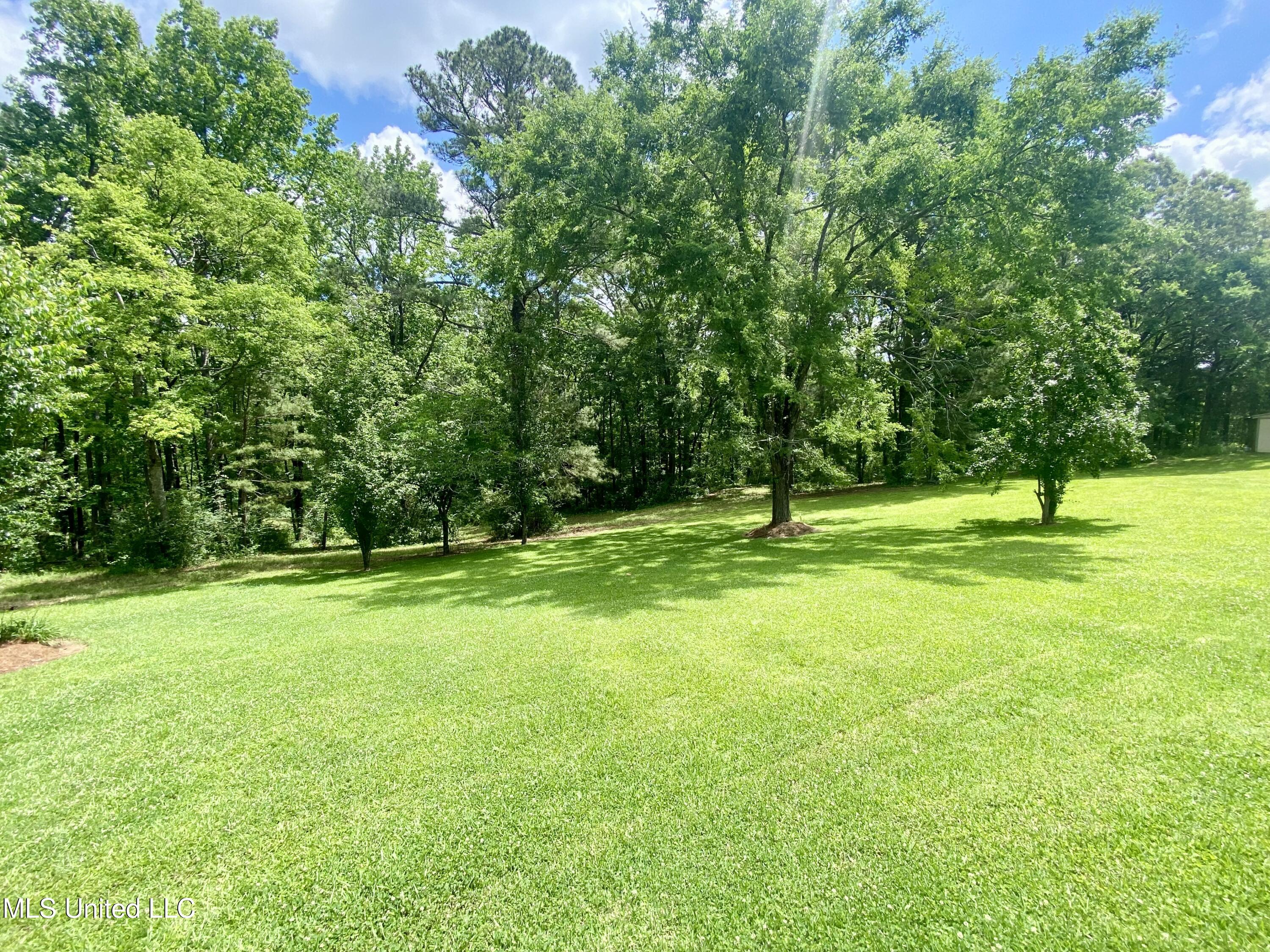 2024 Utica Road, Crystal Springs, Mississippi image 39