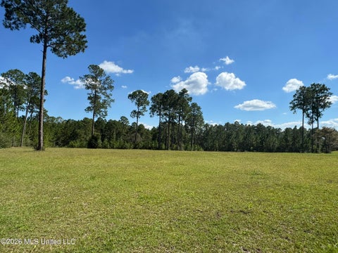 Vacant Land For Sale - Towering Pines<br/> Carriere, MS 39426