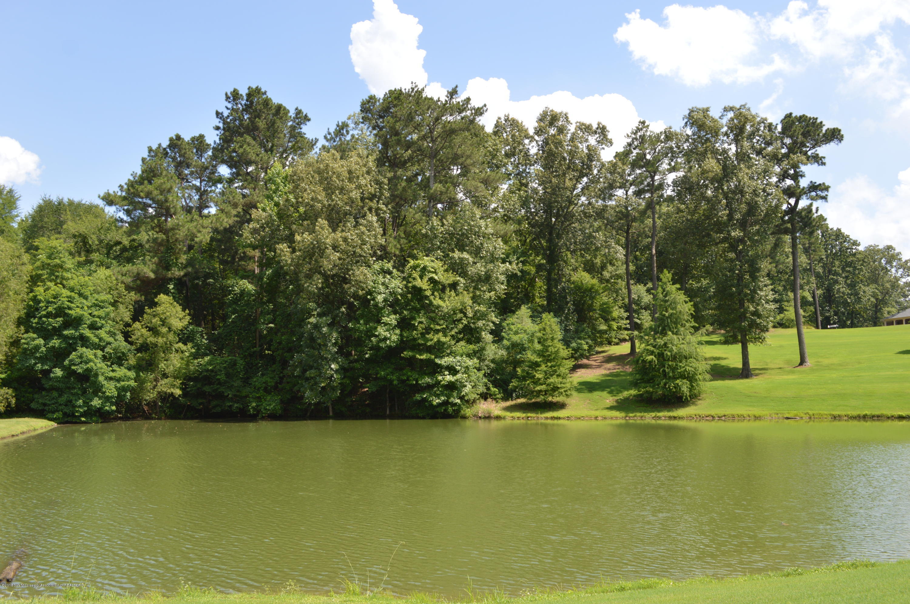2742 Plank Road, Hernando, Mississippi image 10