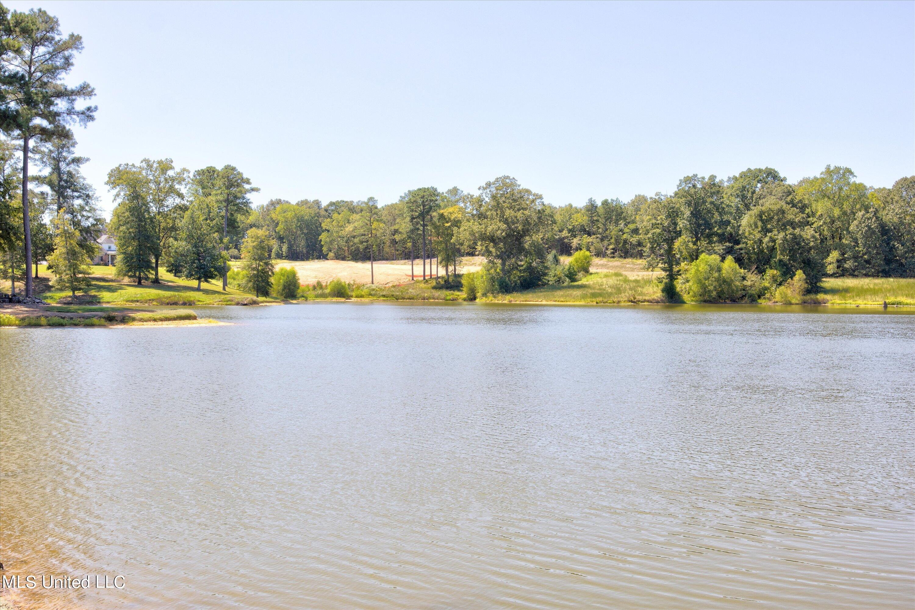 2742 Plank Road, Hernando, Mississippi image 11