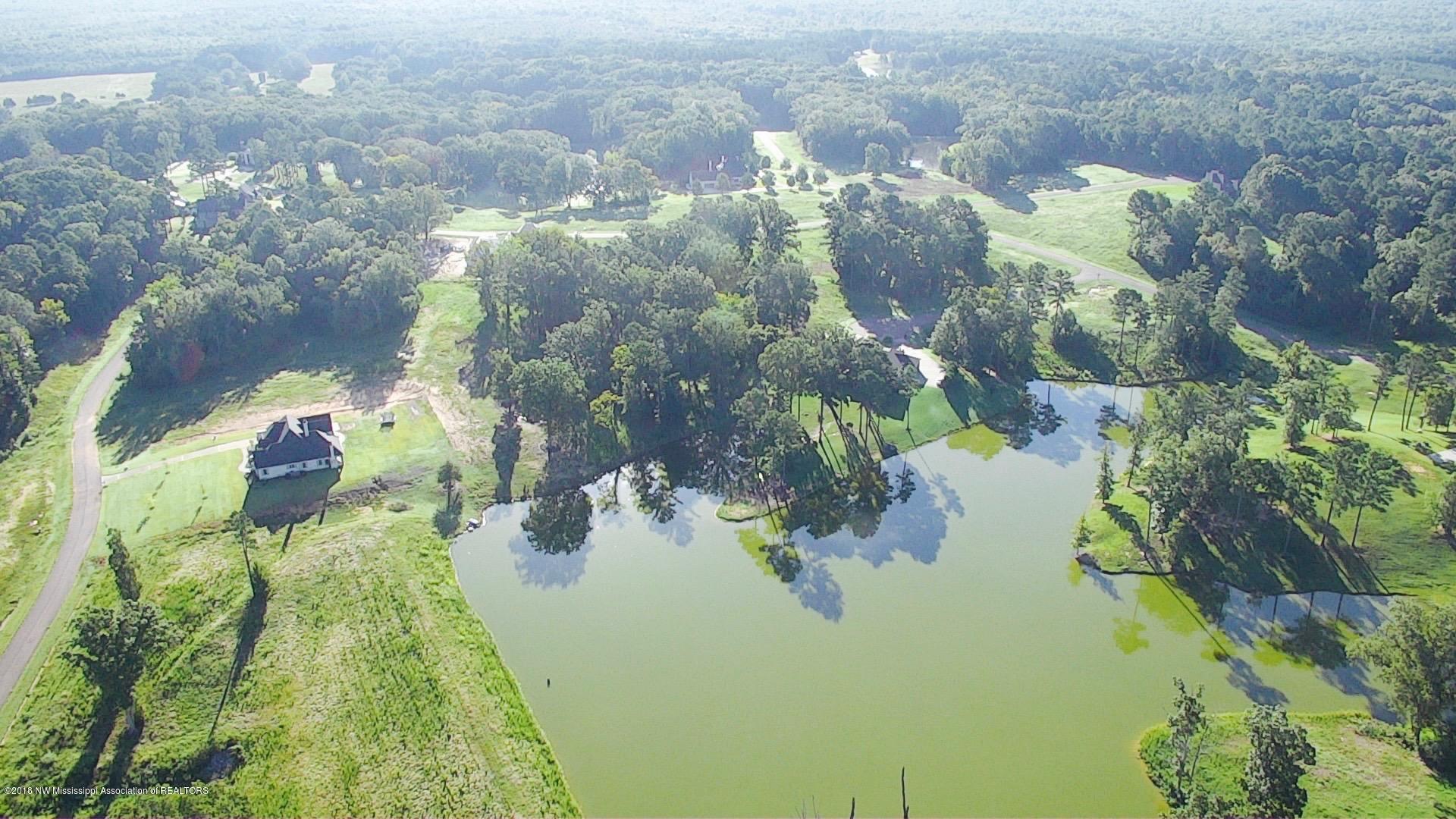 2742 Plank Road, Hernando, Mississippi image 12