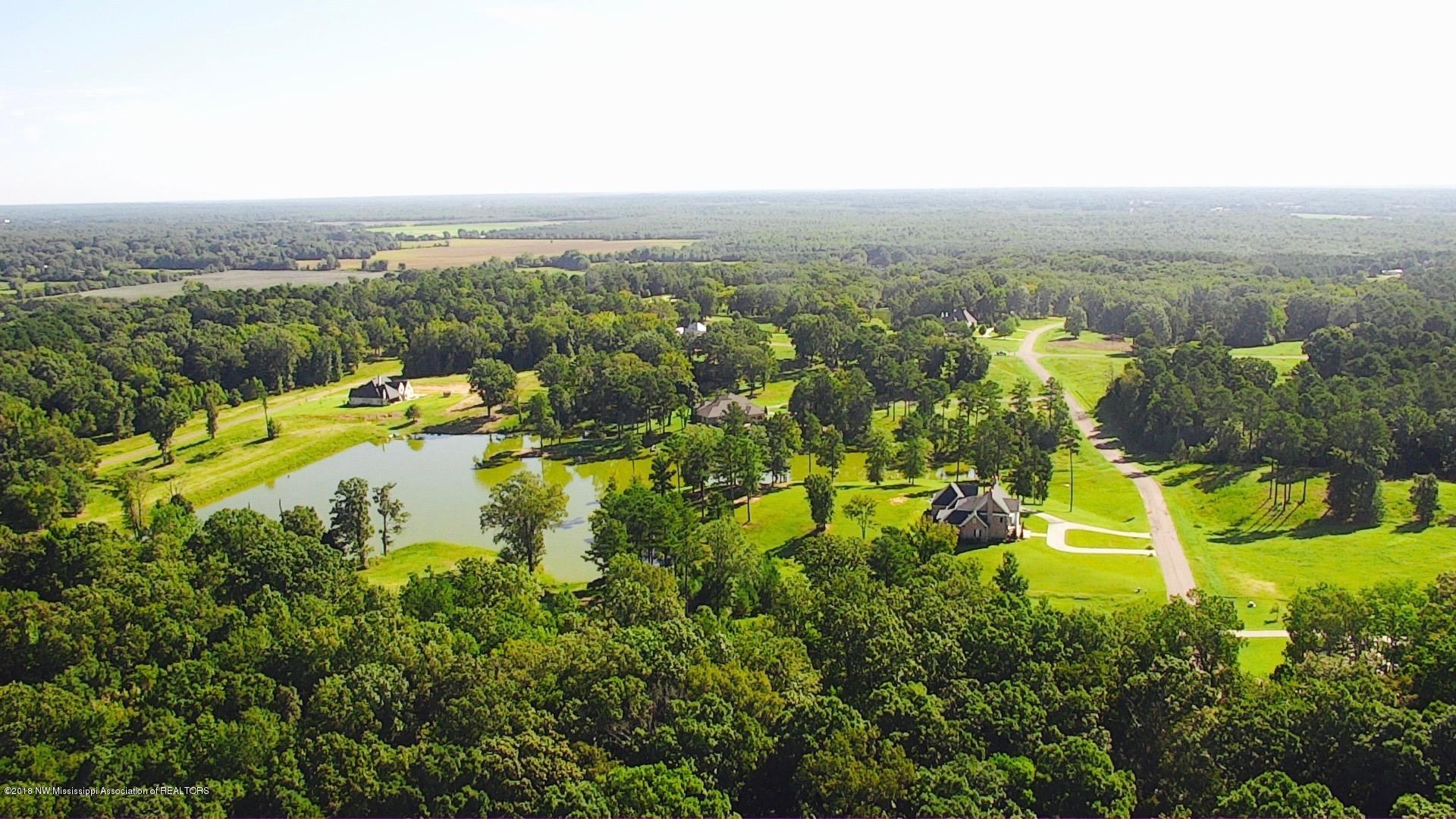 2742 Plank Road, Hernando, Mississippi image 13