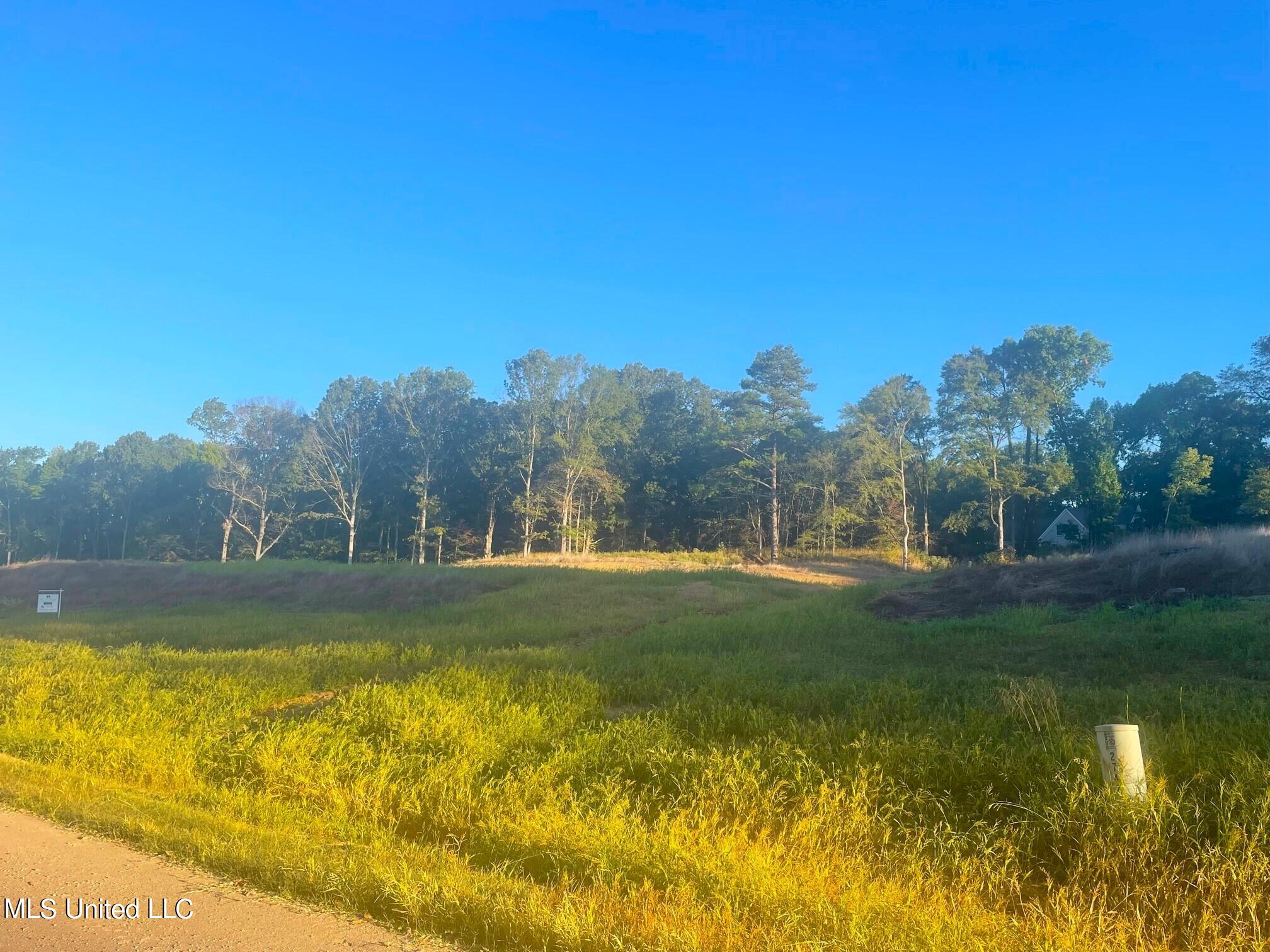 2742 Plank Road, Hernando, Mississippi image 1