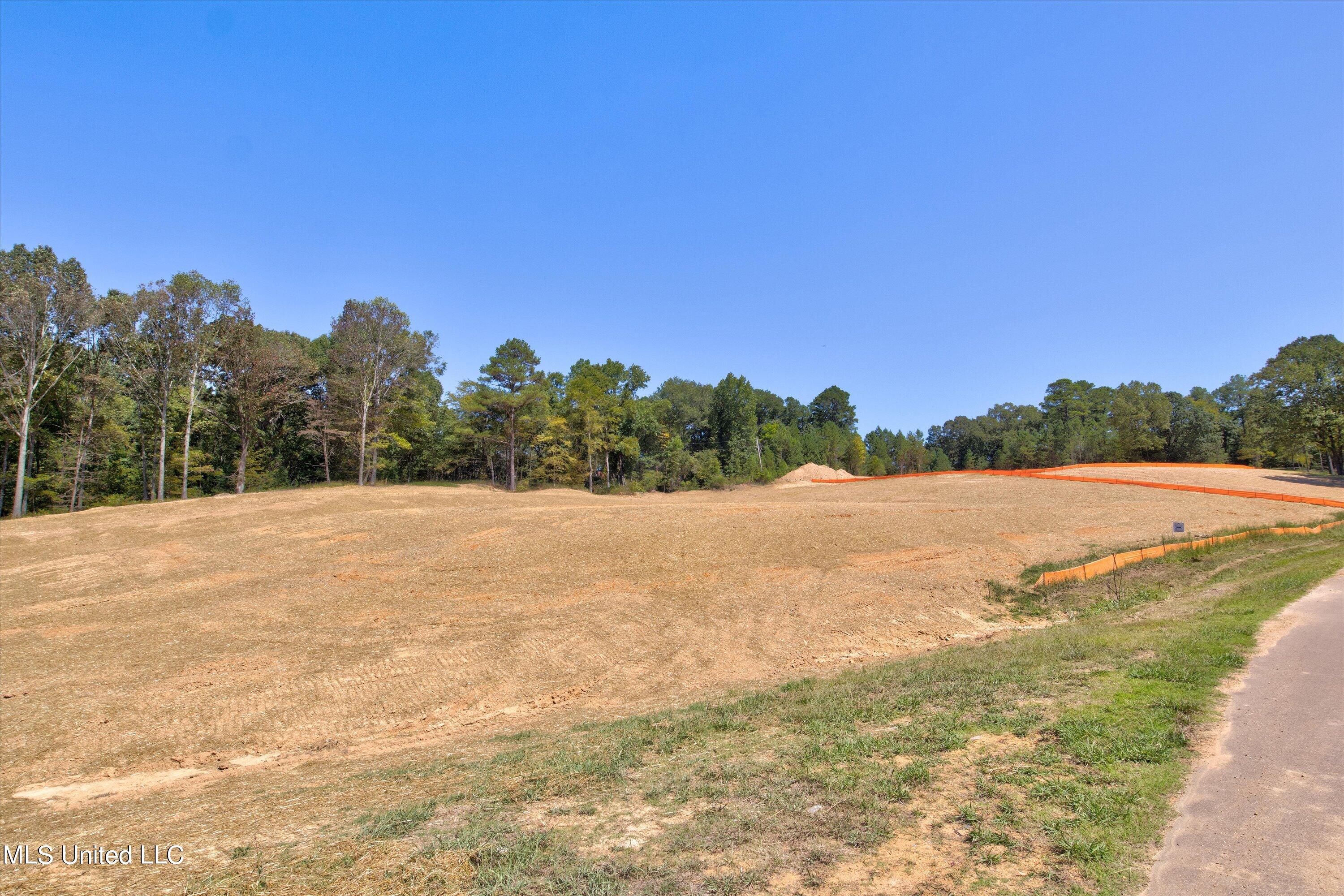 2742 Plank Road, Hernando, Mississippi image 4