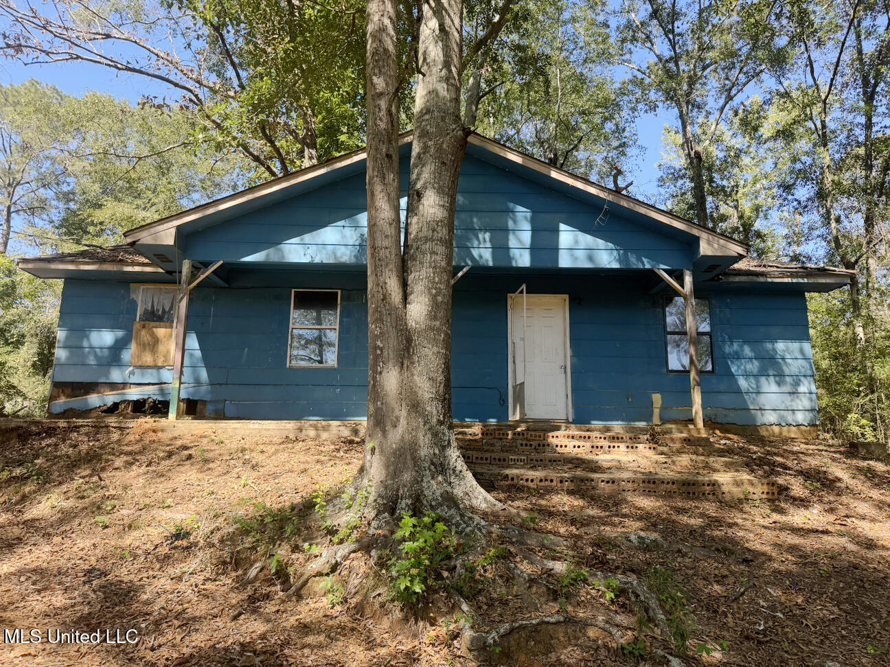 120 Doris Mccallum Road, Magee, Mississippi image 1