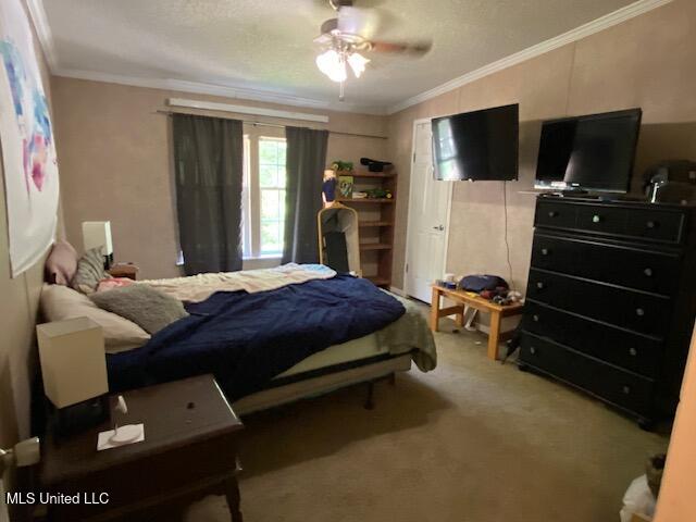 689 Magnolia Circle, Sarah, Mississippi image 44