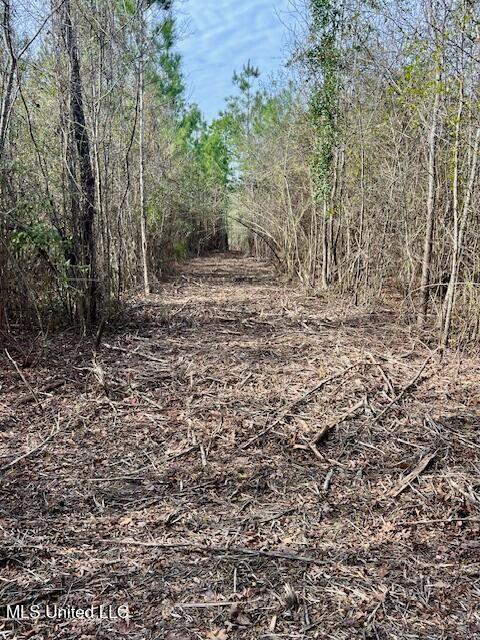 Matthews Road, Tylertown, Mississippi image 16