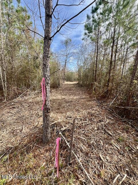 Matthews Road, Tylertown, Mississippi image 8