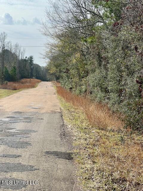 Matthews Road, Tylertown, Mississippi image 17