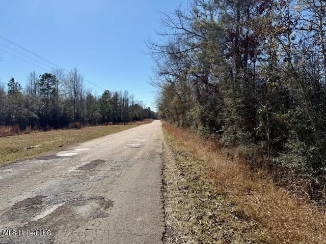 Matthews Road, Tylertown, Mississippi image 3