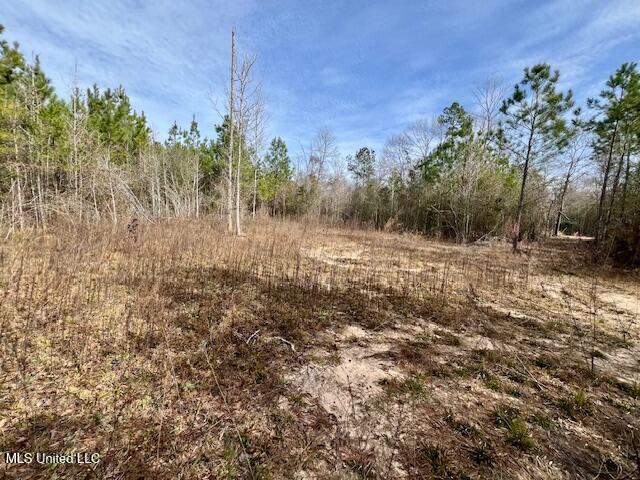 Matthews Road, Tylertown, Mississippi image 9