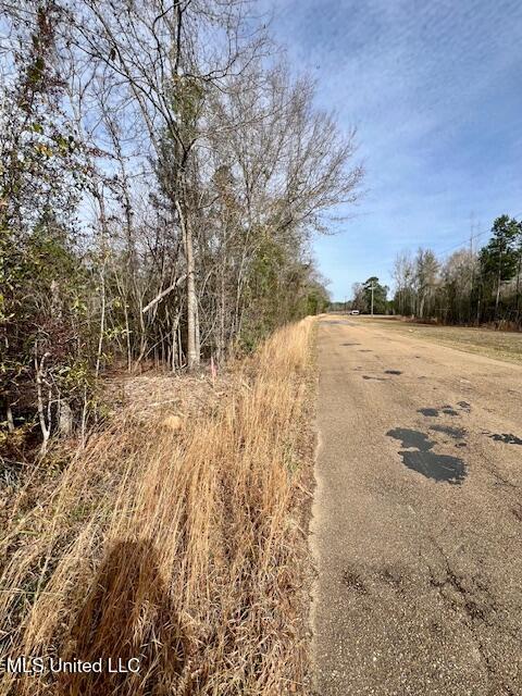 Matthews Road, Tylertown, Mississippi image 6