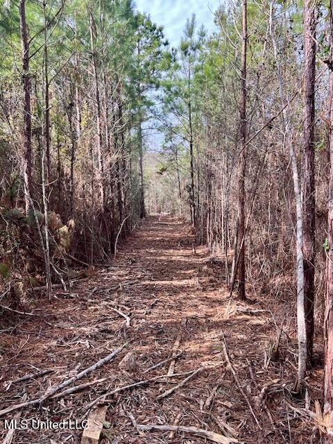 Matthews Road, Tylertown, Mississippi image 15